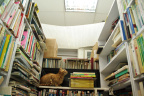 [At] HK book store-2_1600
