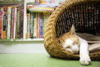 [At] HK book store-4_1600