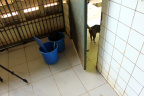 [Paw] Bengko@Group 3, Lola_1600