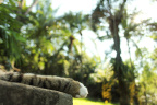 [Paw] Chaussette@Kive House_1600