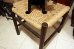 [Paw] Hedessise@Chair, Kasai House, Lola-2_1600