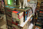 [Paw] HK book store-3_1600