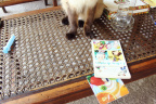[Paw] Lola@Table, Kive House_1600
