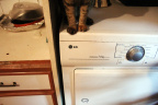 [Paw] Micheline@Washing Machine, Lola_1600