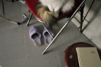 [Paw] Spring@1984, Home_1600