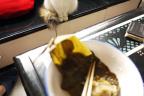 [Paw] Spring@Last Breakfast, home_1600