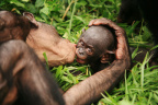 Kiss to my baby