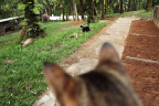 [Face2Face] Lola vs Felix by Chaussette-3_1600