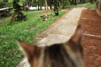 [Face2Face] Lola vs Felix by Chaussette-1_1600