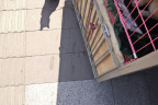 GZ Cat