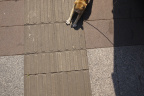 GZ Cat