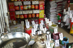 GZ Cat
