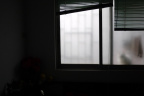 [My family album-o] [HideNSeek] Spring-10