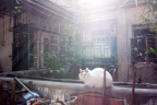 [My family album-o] Spring-16