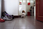 [My family album-o] Spring-18