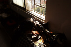 [My family album-o] Spring-30
