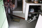 [My family album-o] Bobby-34