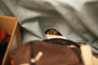 2012_ZZM_0_2000