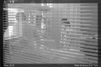 5-23-2012_068
