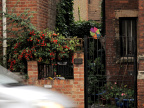 city centre，the cottage