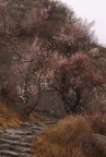 菲//2