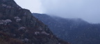 冷山