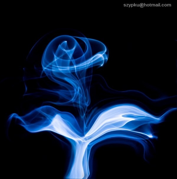 blue rose