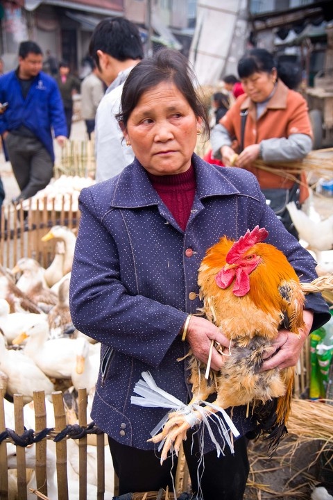 u may buy a chicken on market day