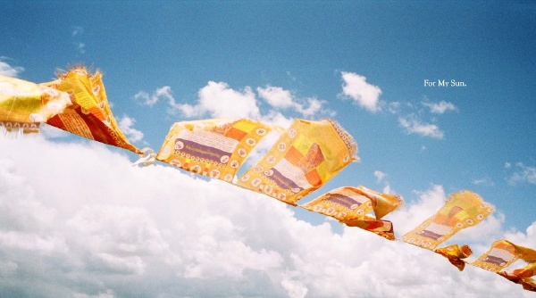 gold in the wind