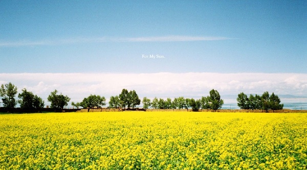 Qinghai Lake, I