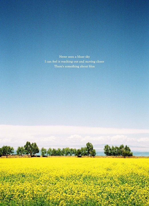 Qinghai Lake, II