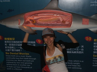 don be afraid of shark_by kiki