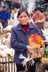 u may buy a chicken on market day
