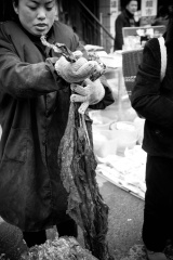 IMG_8425