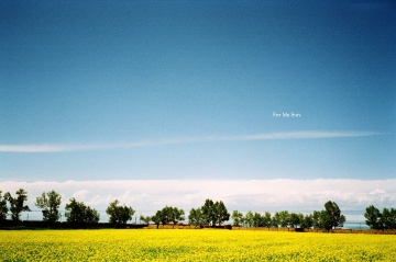 for my sun. for my wonderland