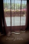 suite room in Sofitel, I