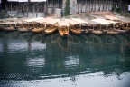IMG_7908