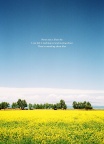 Qinghai Lake, II
