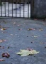 Lost at Xin Hua Road