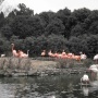 Zoo