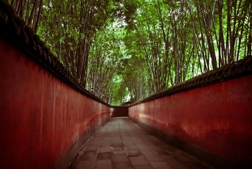 红墙绿竹-2