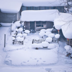 雪乡-院子1