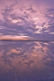 飞龙在天，雨后的晚霞 6/10