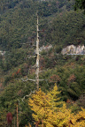 DPP_1145