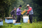 银河广场@天津-2