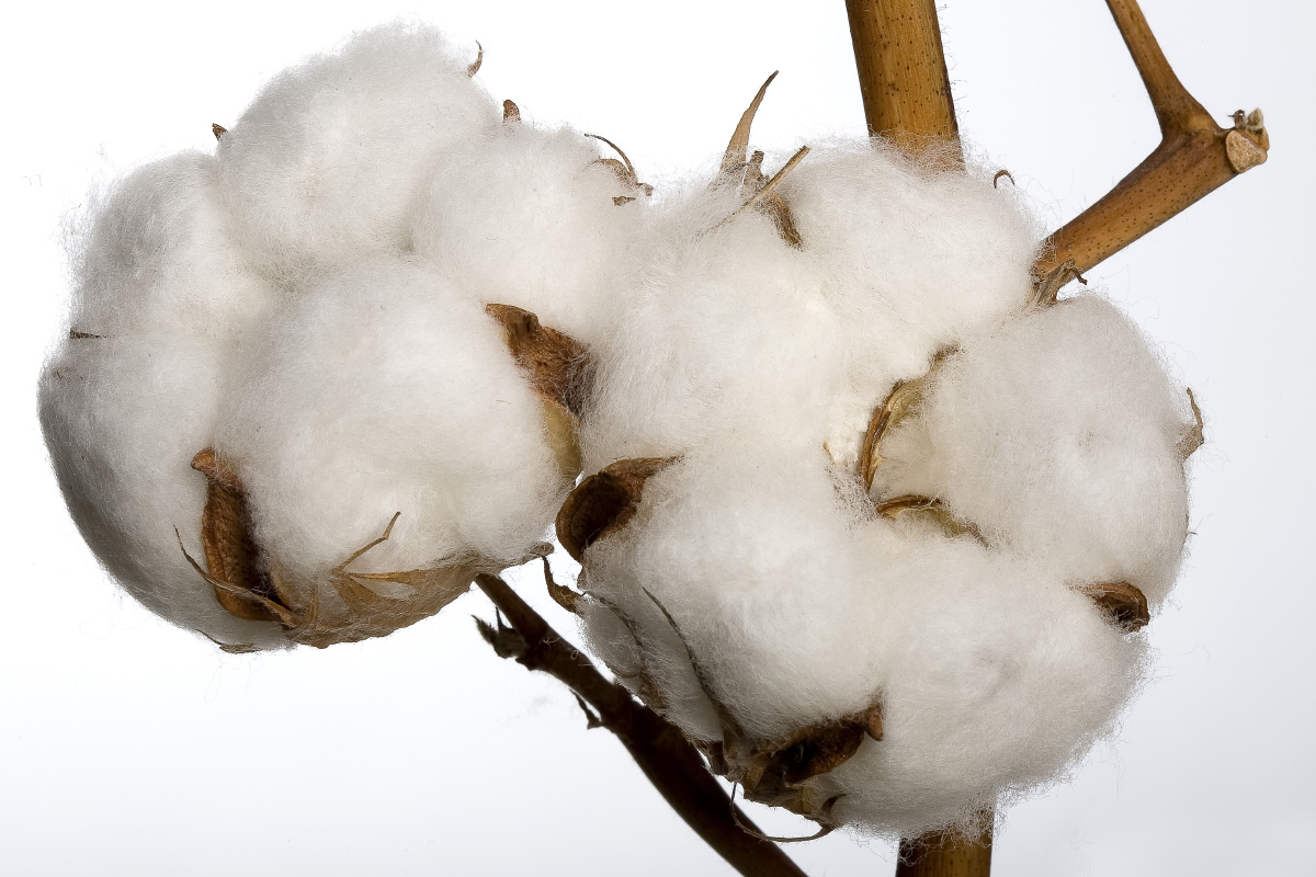 下班回家 - 佳能, 5D2, 数码, 纪实, 无敌兔, 蔡司 - Carl Zeiss Planar T*50\/1.4ZE - RedMorning - Only Zeiss _请标注镜头型号信息! - 图虫摄影网