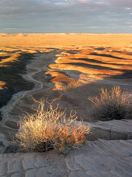 2004.10 Petrified Forest