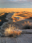 2004.10 Petrified Forest