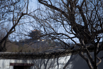 北海公园_20110324_0039