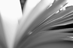 P1204822